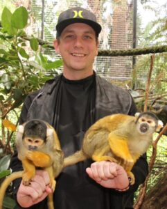 Buy Squirrel Monkeys Online