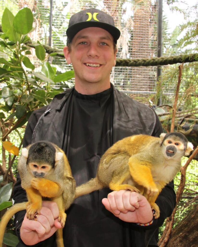 Buy Squirrel Monkeys Online