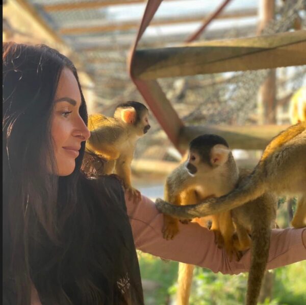 Buy Squirrel Monkeys Online - Image 3